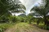 Land for Sale or Rent in Sai Thai, Krabi