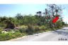 Land for sale in Nong Khang Khok, Chonburi