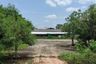 Land for sale in Cho Ho, Nakhon Ratchasima