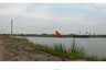 Land for sale in Bua Pak Tha, Nakhon Pathom