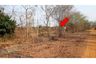 Land for sale in Ang Hin, Ratchaburi