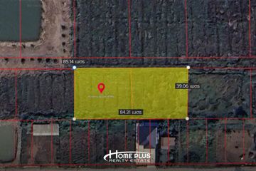 Land for sale in Bueng Ba, Pathum Thani