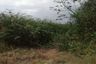 Land for sale in Puek Tian, Phetchaburi