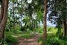 Land for sale in Sathing Mo, Songkhla