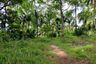 Land for sale in Sathing Mo, Songkhla