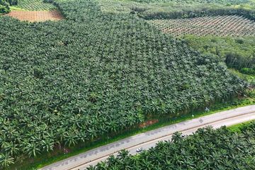 Land for sale in Khao Thong, Krabi