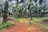 Land for sale in Khao Thong, Krabi