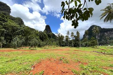 Land for sale in Khao Thong, Krabi