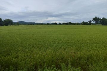 Land for sale in Nong Chaeng, Phetchabun