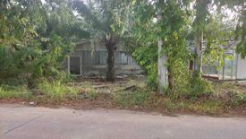 Land for sale in Huai Kapi, Chonburi