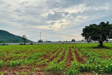 Land for sale in Nong Nam Daeng, Nakhon Ratchasima