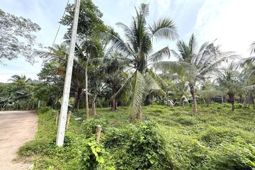 Land for sale in Nong Thale, Krabi