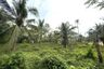 Land for sale in Nong Thale, Krabi