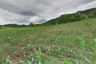 Land for sale in Phaya Yen, Nakhon Ratchasima