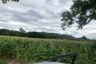 Land for sale in Phaya Yen, Nakhon Ratchasima
