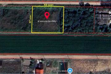 Land for sale in Khlong Hok, Pathum Thani