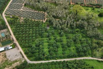 Land for rent in Sai Thai, Krabi