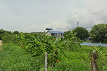 Land for sale in Nong Mai Daeng, Chonburi