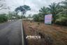 Land for sale in Bueng Ba, Pathum Thani