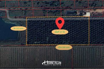 Land for sale in Bueng Ba, Pathum Thani