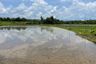 Land for sale in Khilek, Chiang Mai
