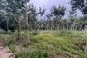 Land for sale in Ao Nang, Krabi