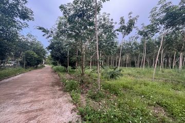 Land for sale in Ao Nang, Krabi