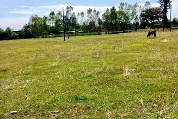 Land for sale in Lao Suea Kok, Ubon Ratchathani