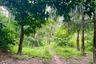 Land for sale in Tak Daet, Phang Nga