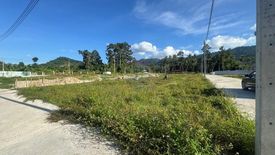 Land for sale in Mae Nam, Surat Thani