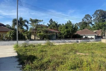 Land for sale in Mae Nam, Surat Thani