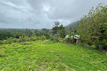 Land for sale in Lipa Noi, Surat Thani