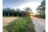 Land for sale in Lipa Noi, Surat Thani