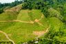 Land for sale in Thung Kha Ngok, Phang Nga