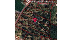 Land for sale in Mae Nam, Surat Thani