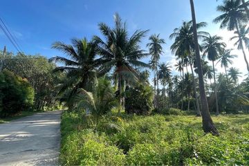 Land for sale in Mae Nam, Surat Thani