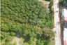 Land for sale in Na Mueang, Surat Thani