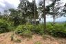 Land for sale in Lipa Noi, Surat Thani