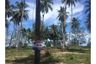 Land for sale in Klai, Nakhon Si Thammarat