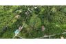 Land for sale in Ang Thong, Surat Thani