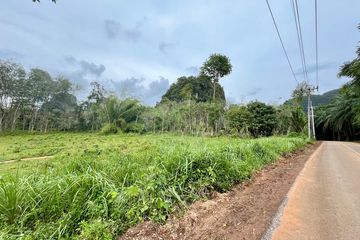 Land for sale in Ao Nang, Krabi