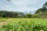 Land for sale in Ao Nang, Krabi