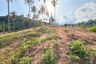 Land for sale in Bo Phut, Surat Thani