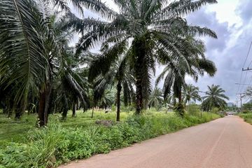 Land for sale in Ao Nang, Krabi