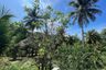 Land for sale in Ko Pha-ngan, Surat Thani