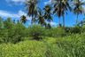 Land for sale in Ko Pha-ngan, Surat Thani