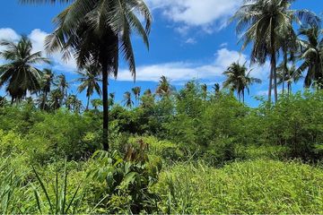 Land for sale in Ko Pha-ngan, Surat Thani