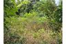 Land for sale in Ko Pha-ngan, Surat Thani