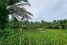 Land for sale in Nong Hong, Nakhon Si Thammarat