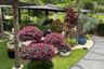 2 Bedroom House for sale in Mae Raem, Chiang Mai